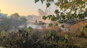 प्लॉट में रखे गैस सिलिंडरों से क्लोरीन गैस का हुआ रिसाव, लोगों में मचा हड़कंप 