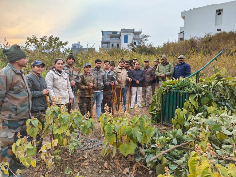 शिवगंगा एन्क्लेव में दिन दहाड़े बाघ की चहलकदमी - my