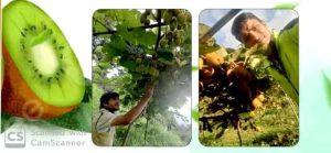 डीसीबी के 3 लाख के ऋण की मदद से दो