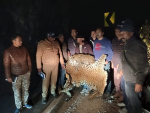 लैपर्ड की खाल तस्करी करते एक तस्कर गिरफ्तार, 2 खालें