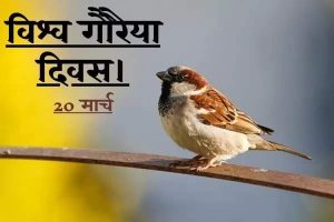 आज है विश्व गौरैया दिवस ;जानिये क्या है विशेष -