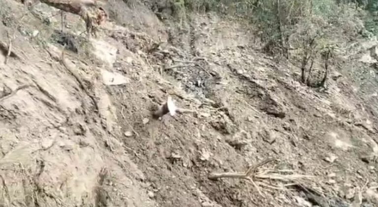 उत्तरकाशी में सड़क बनाने के लिए पहाड़ी काटने के दौरान