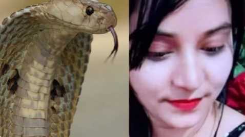 Uttarakhand: Boyfriend Ankit Chauhan died a horrific death by getting bitten by a snake, poisonous girlfriend Mahi became the 'queen'