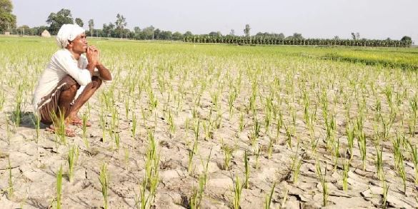 सर्दियों में बारिश नहीं होने से किसानों की बढ़ी टेंशन, उत्तराखंड में सूखे जैसे हालात 