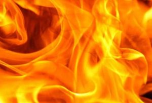 उत्तराखंड में जंगल को आग से धधकाने की कोशिश, 5