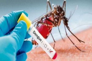 उत्तराखंड में डेंगू और चिकनगुनिया को लेकर स्वास्थ्य विभाग का