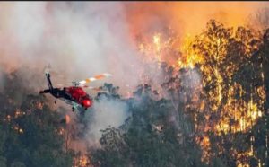 जंगलों की आग बुझाने को उतरी सेना, हेलीकॉप्टरों से पानी