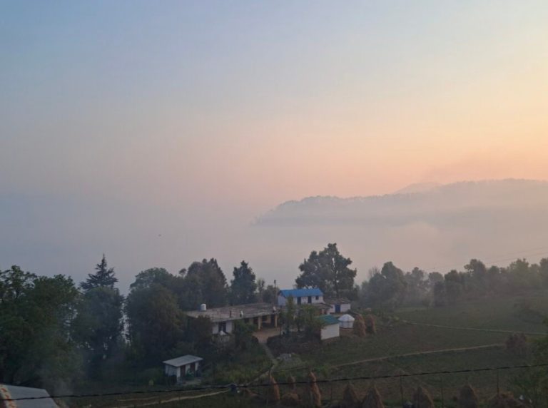 थराली छेत्र के जंगलों में लगी भीषण आग, लोगो को