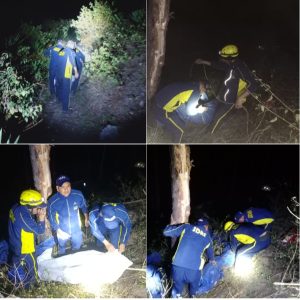 बेतालघाट के पास खाई में गिरा वाहन, आठ लोगों की