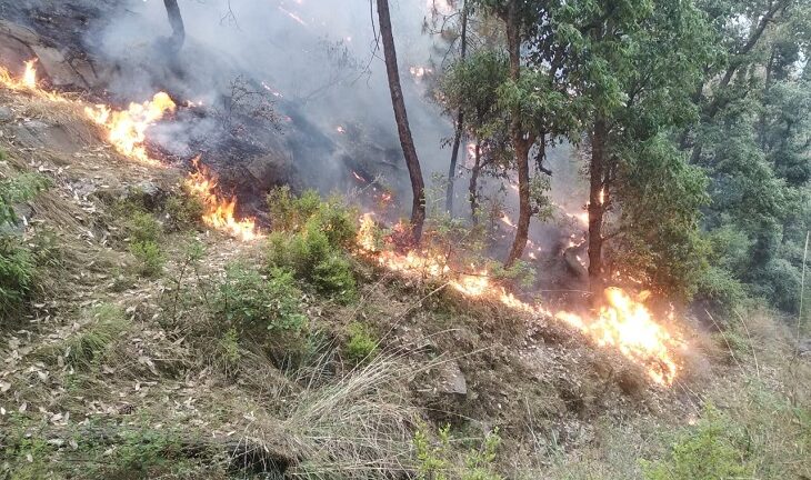 लगातार धधक रहे जंगल- लैंसडॉउन छावनी क्षेत्र के जंगल तक पहुंची जयहरीखाल के सिविल जंगलों की आग 