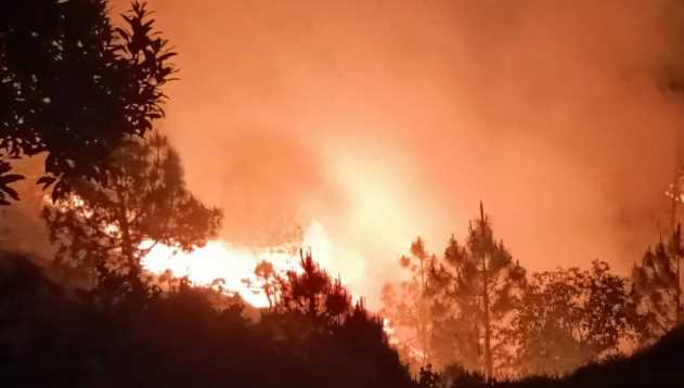 Forests of Uttarakhand blazed 40 times in 24 hours, two houses burnt, three burnt; death of one