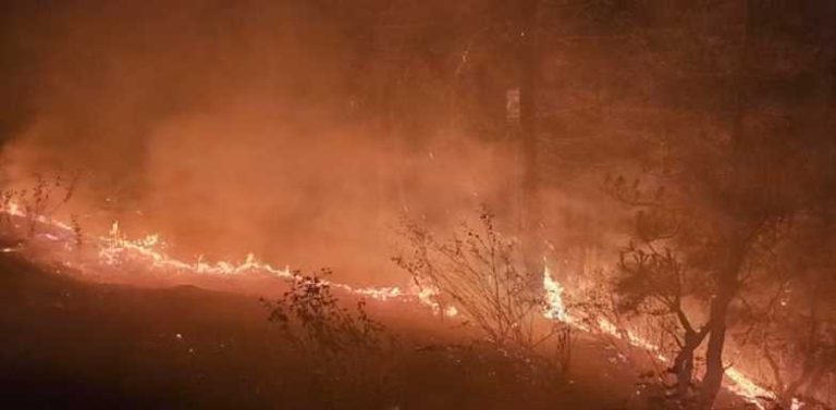 अल्मोड़ा में जंगल की आग से 30 गांवों की नींद