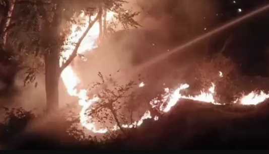 After Uttarakhand, now forests blaze in Himachal, orgy from Kasauli to Nagrota