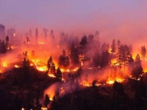 उत्तराखंड :चारों तरफ अग्नि का तांडव : 5 लोगों की