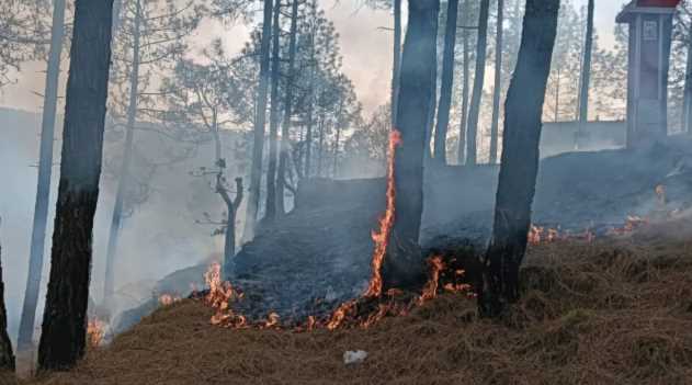 As soon as the rain stopped, tension started increasing again, the forests of Uttarakhand started burning again.