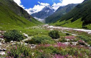 विश्व प्रसिद्ध फूलों की घाटी ट्रैक इस वर्ष 1 जून