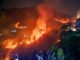 Greed for likes and views on social media burnt down forest, 3 youths from Bihar caught in Chamoli