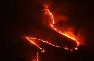 हिमाचल में धधके जंगल, 67 जगहों पर भड़की आग, उत्तराखंड