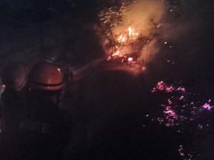 दुःखद खबर : नहीं थम रहा अग्नि का प्रकोप !अल्मोड़ा