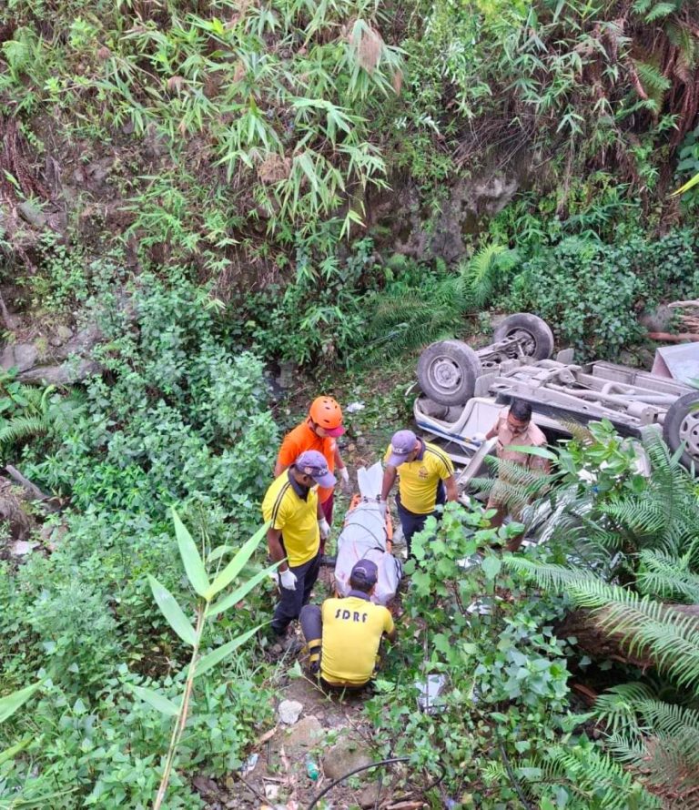 बिग ब्रेकिंग  बद्रीनाथ हाइवे देवलीबगड़ में दर्दनाक हादसे में दो