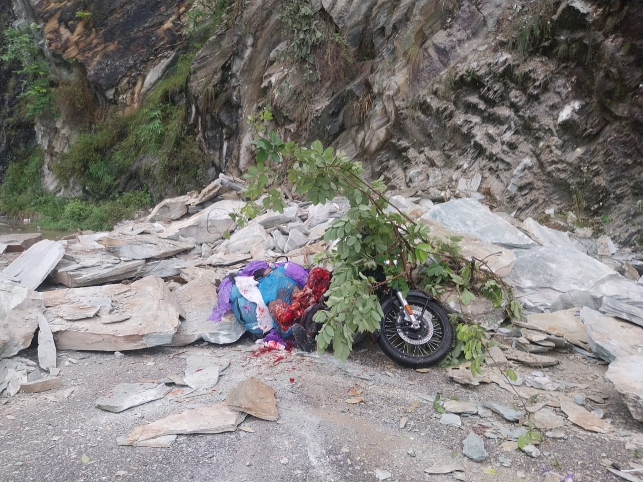 चमोली ( उत्तराखंड ) दो व्यक्तियों की पत्थर गिरने से