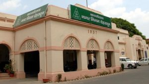 Photo of pioneeradmin