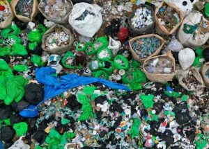 उत्तराखंड के जंगलों में घूमने वाले पर्यटक हो जाएं सावधान,