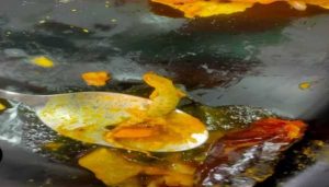 A family ordered dosa in a restaurant in Uttarakhand, then a dead lizard was found in the sambar; uproar ensued