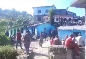 उत्तराखंड: गाय चराने जंगल गए पिता-पुत्र पर ततैया के झुंड