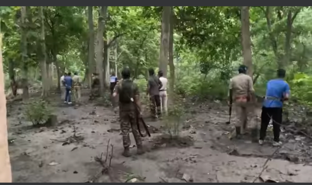 ऊधमसिंह नगर : गदरपुर क्षेत्र में लकड़ी तस्करों और वन