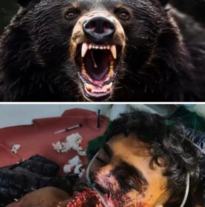 दुःखद : भालू ने खेत में काम कर रहे ओसला