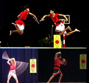 स्पिक मैके ने आयोजित करा कलारीपयट्टू प्रदर्शन - my uttarakhand