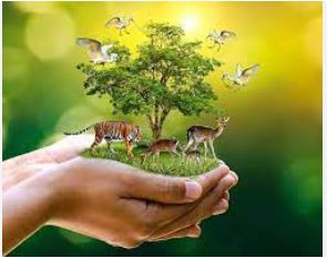 दीपावली व जाड़ों में वन व वन्यजीवों की सुरक्षा को लेकर एडवाइजरी जारी