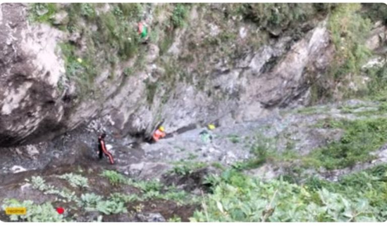 केदारनाथ पैदल मार्ग पर घोड़े की टक्कर से खाई में