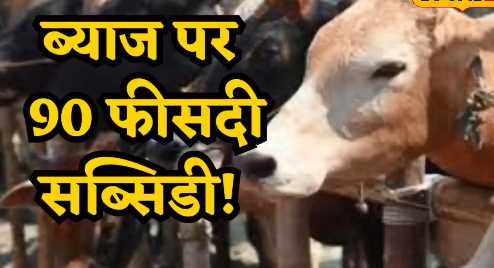 You can buy animals, the government will pay the interest, take advantage of this scheme like this, get 90 percent subsidy