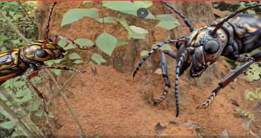 A dangerous insect came from 200 KM, wreaking havoc in the forests of Uttarakhand, knowing its name, the officers lost their sleep.