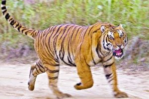 Photo of pioneeradmin