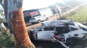 हल्द्वानी : बिल्ली बनी दो लोगों के लिए मौत की