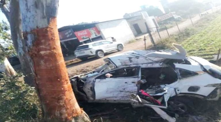 हल्द्वानी : बिल्ली बनी दो लोगों के लिए मौत की