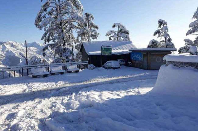 बर्फ की सफेद चादर में लिपटी मसूरी से लेकर औली, चकराता और नैनीताल की वादियां 