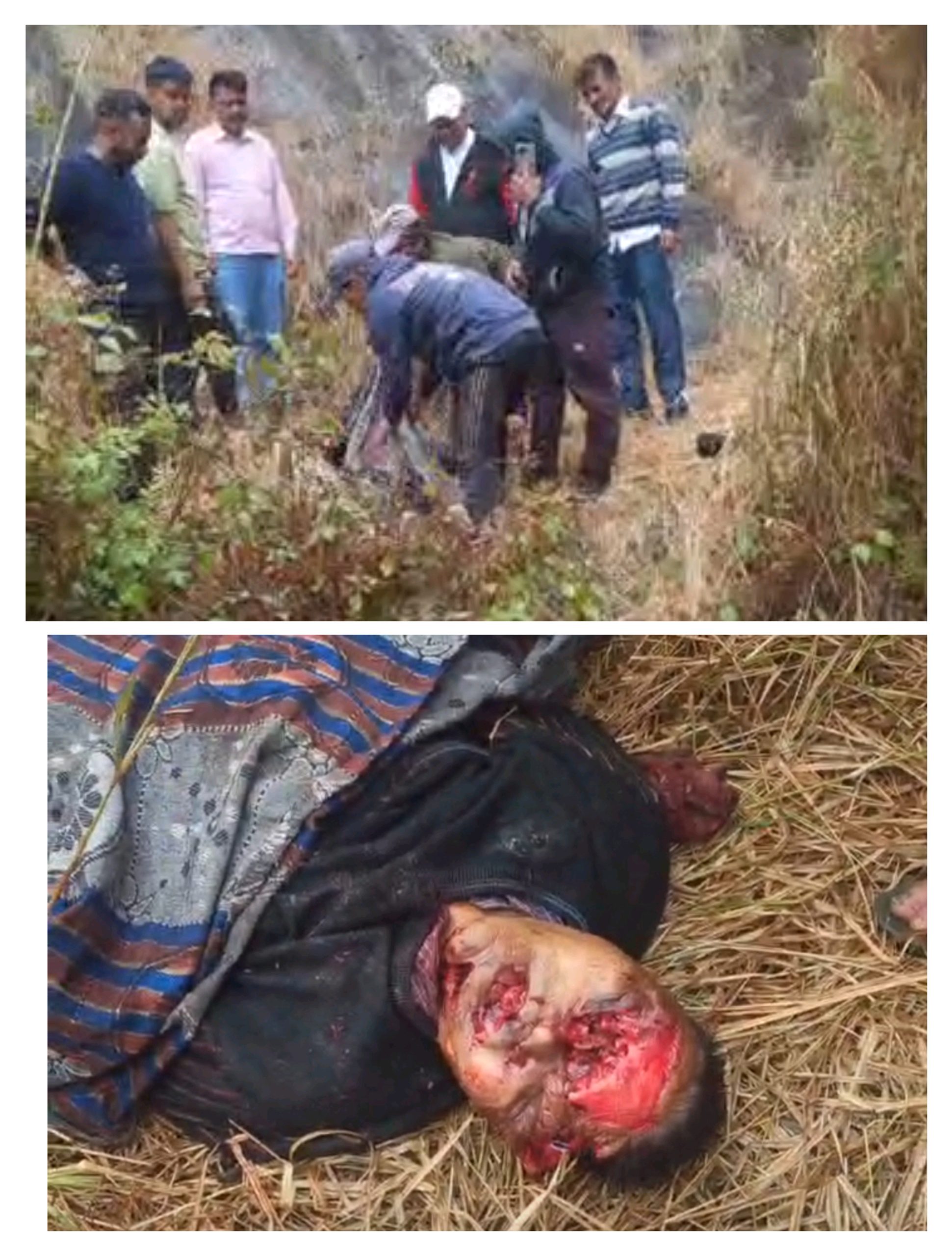 जनपद पौड़ी : बकरियां चुगाने जंगल गये व्यक्ति को भालु