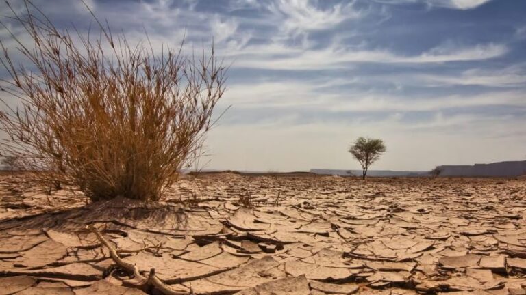 जलवायु परिवर्तन और मौसम के पैटर्न में हुए बदलाव का अब सीधा तापमान पर पड़ेगा असर