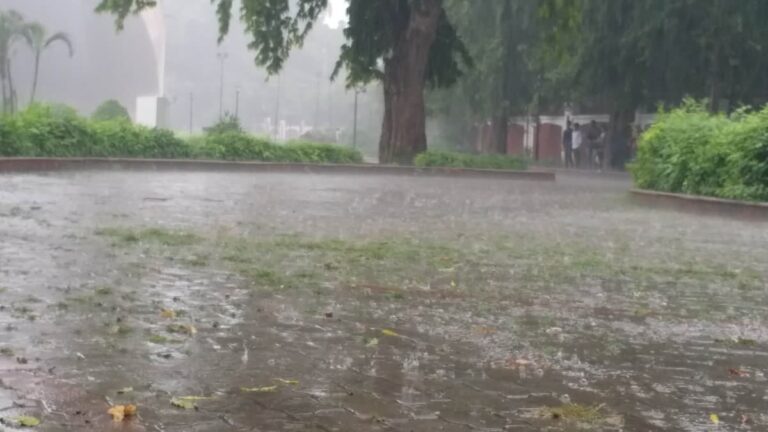 पहाड़ी क्षेत्रों में बारिश और ओलावृष्टि ने जमकर मचाई तबाही, फल और खड़ी फसलें हुई बर्बाद