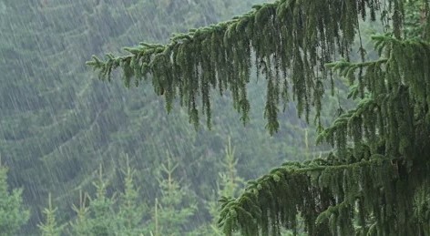 मैदानी और पर्वतीय जिलों में तेज बारिश के साथ ओलावृष्टि की चेतावनी जारी