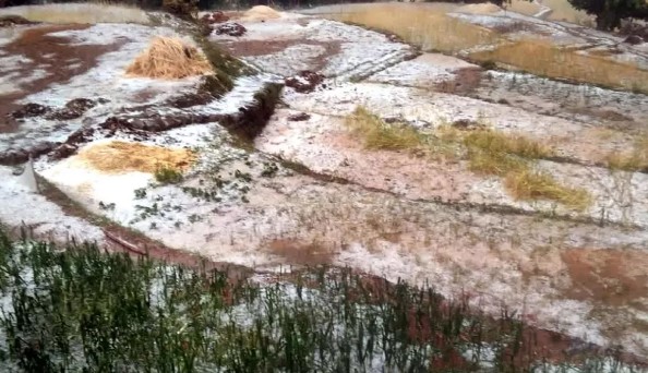 Rain wreaks havoc in Uttarakhand, 80 percent of crops destroyed in 12 districts