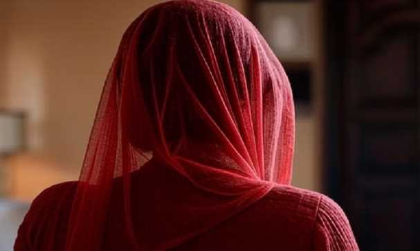 उत्तराखंड में महिला पर पिटबुल कुत्ता छोड़ा...पिस्टल भी तानी, आरोपी