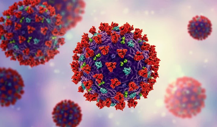 उत्तराखंड में मिले दो कोरोना मरीज, स्वास्थ्य महकमे में हड़कंप