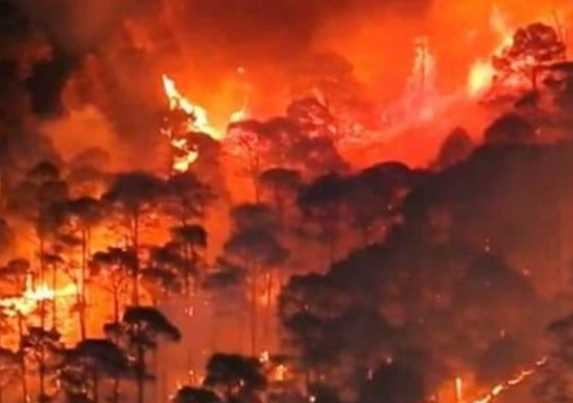 बारशि रुकते ही अल्मोड़ा के जंगलों आग ने पकड़ी रफ्तार,