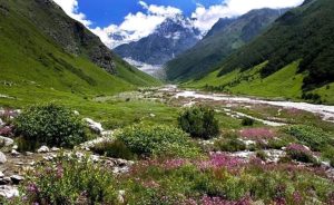 विश्व धरोहर फूलों की घाटी 1 जून को पर्यटकों के