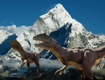 उत्तराखंड में छिपा है 52 करोड़ साल पुराना राज, पता